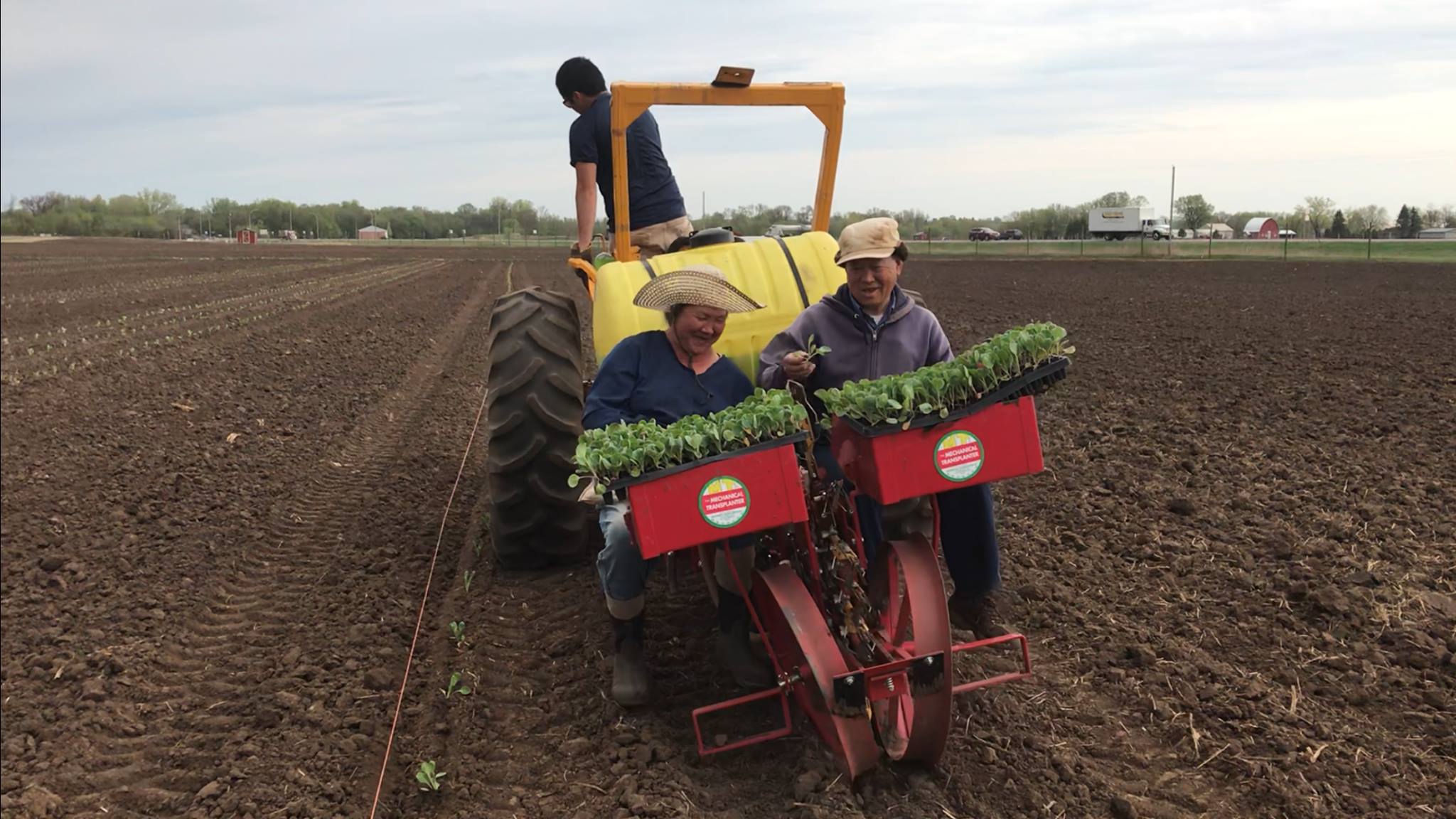 20180508_Vang and Chao Tao Moua Transplanting Brussel Sprouts (003).jpg