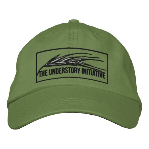 Understory embroidered cap $37