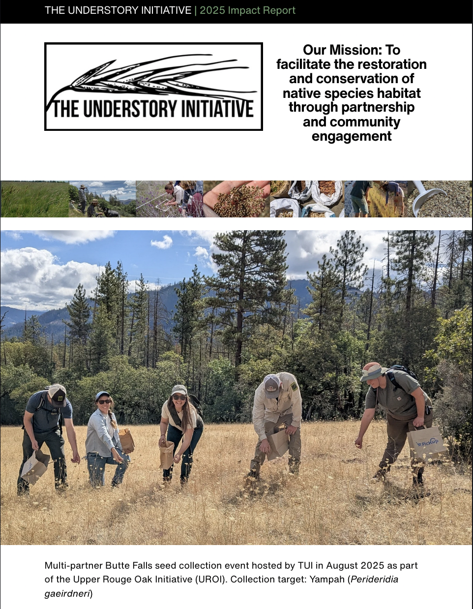 Screen Shot 2026-03-31 at 5.54.00 PM.png