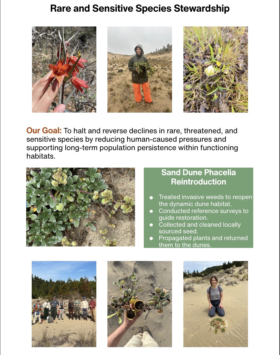 Screen Shot 2026-03-31 at 5.55.04 PM.png