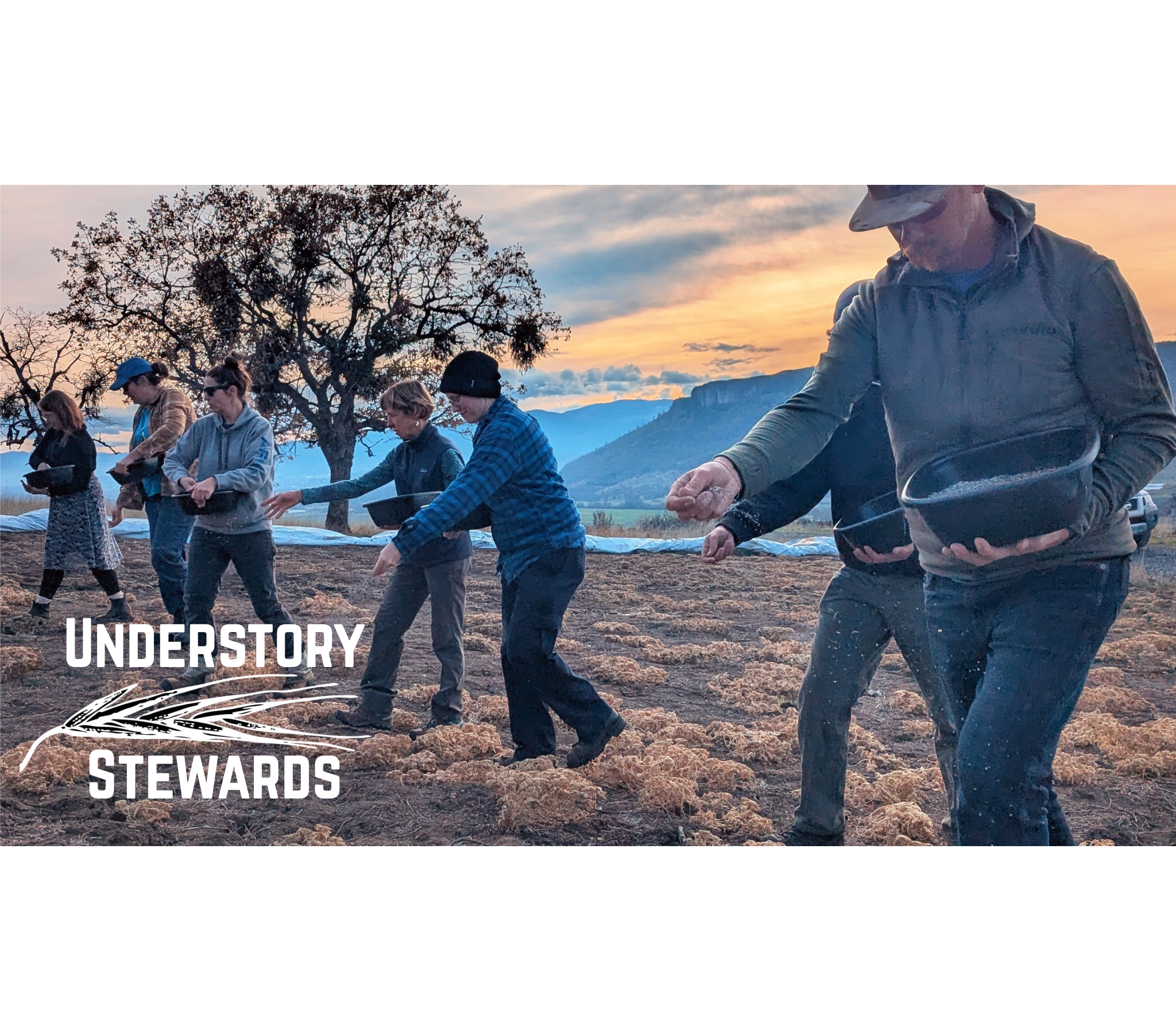 Understory Stewards Wide.png