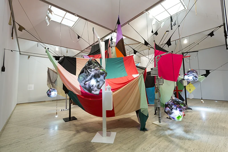 Mikala+Dwyer_A+Shape+of+Thought_2017_AGNSW_46.jpg