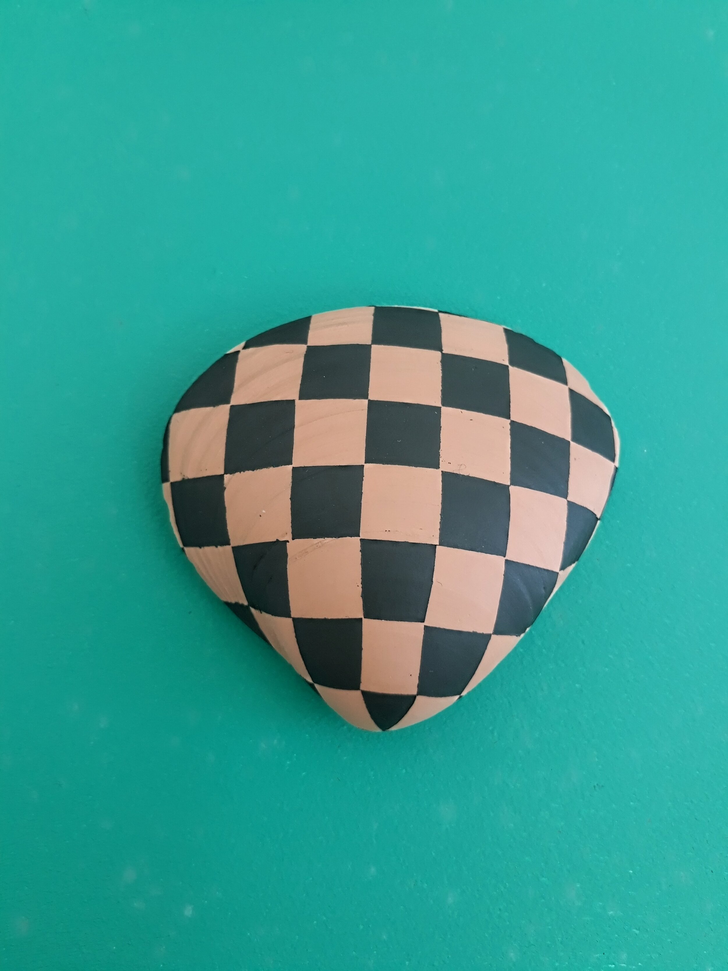 RAEWYN WALSH: Shell Brooch