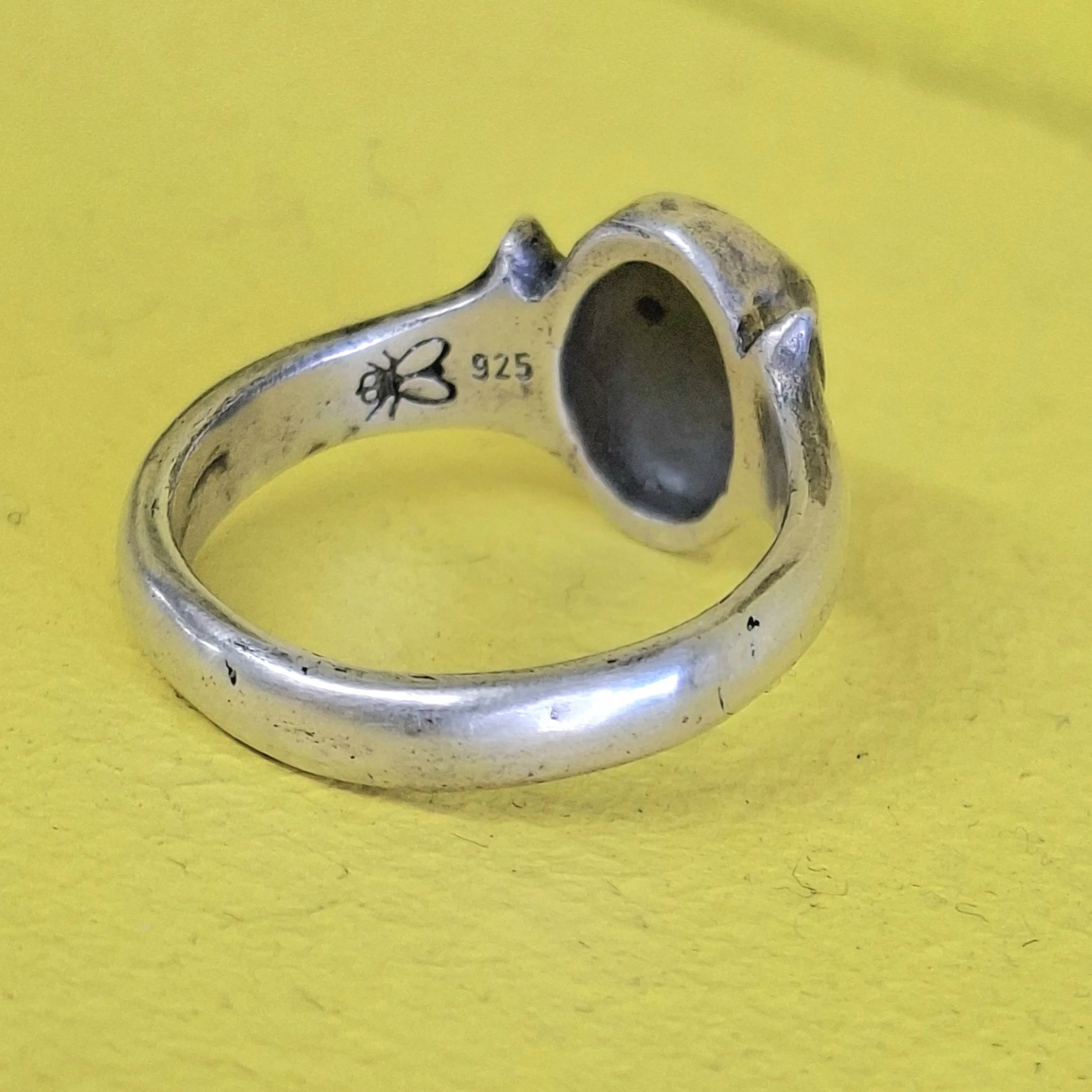 processed_6d5467628d14414498b1acd0a8de0b71.jpeg