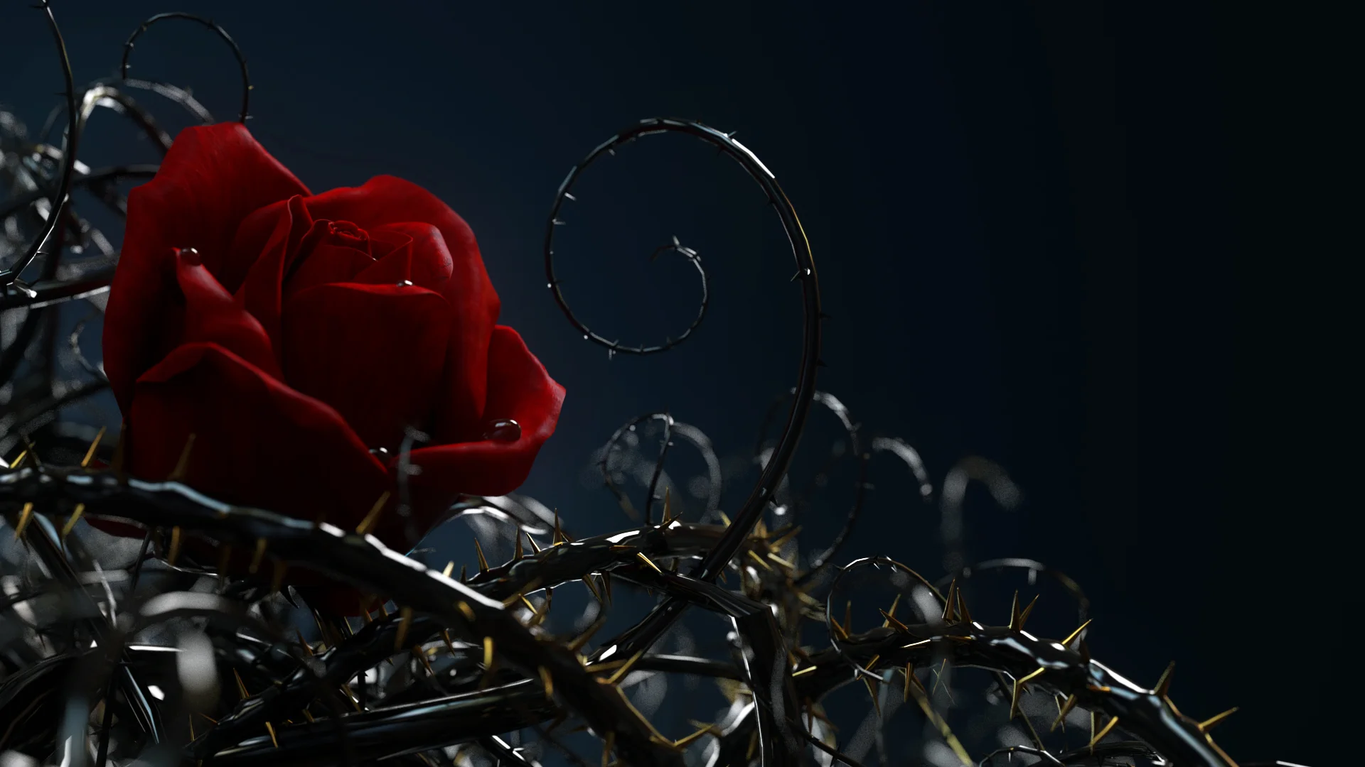 rose2.jpg