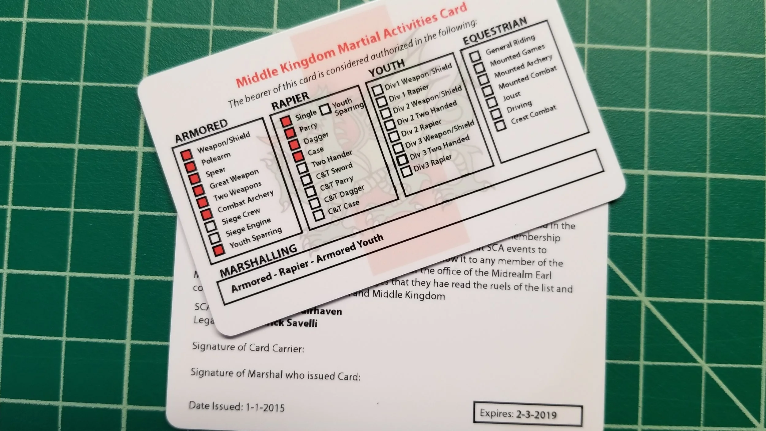 Midrealm Fighter Card