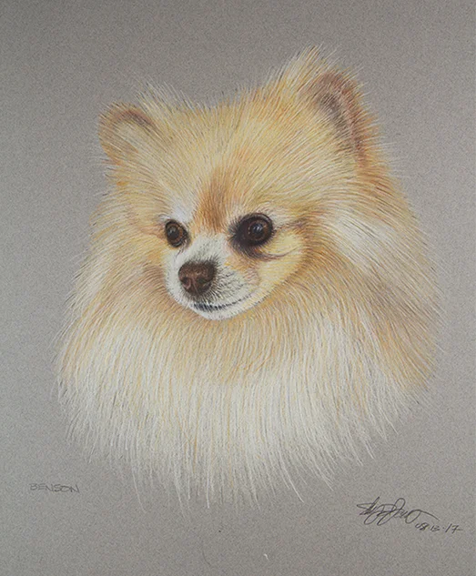 animal_sketches_benny.jpg