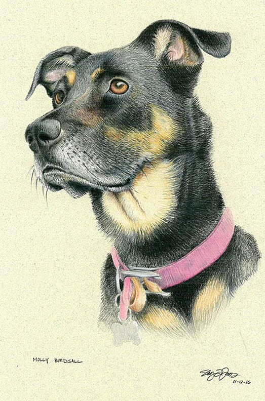 animal_sketches_mollyB.jpg