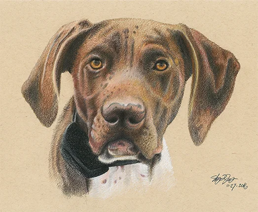 animal_sketches_greta.jpg