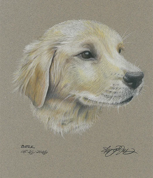 animal_sketches_beck.jpg