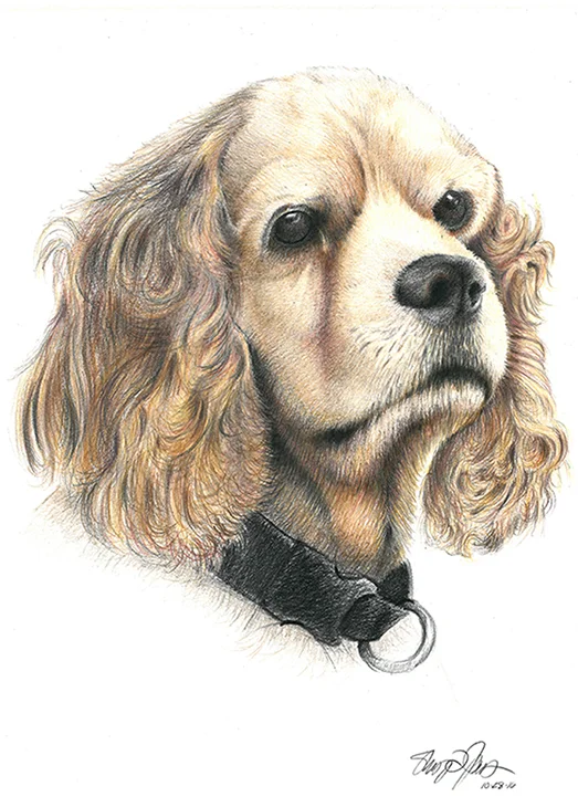 animal_sketches_mcpher1.jpg