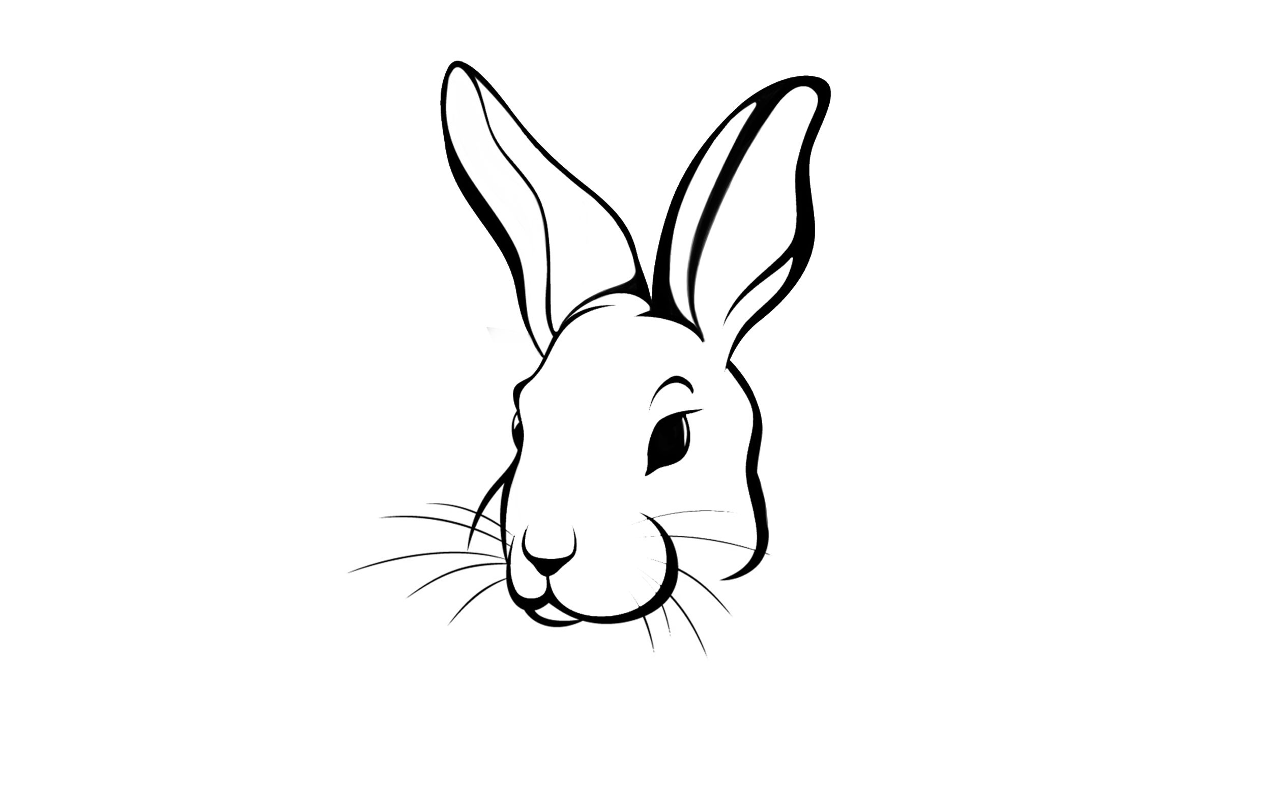 head_bunny.png