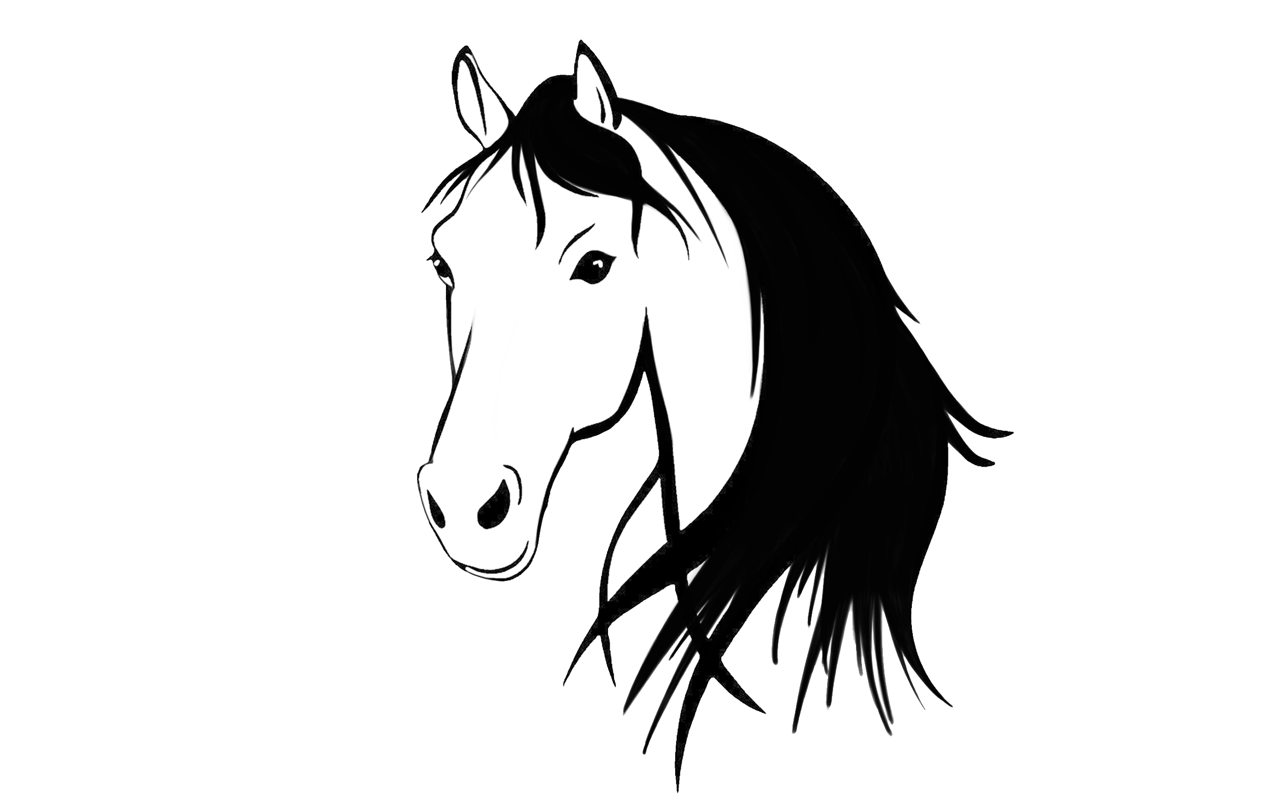 head_horse.png