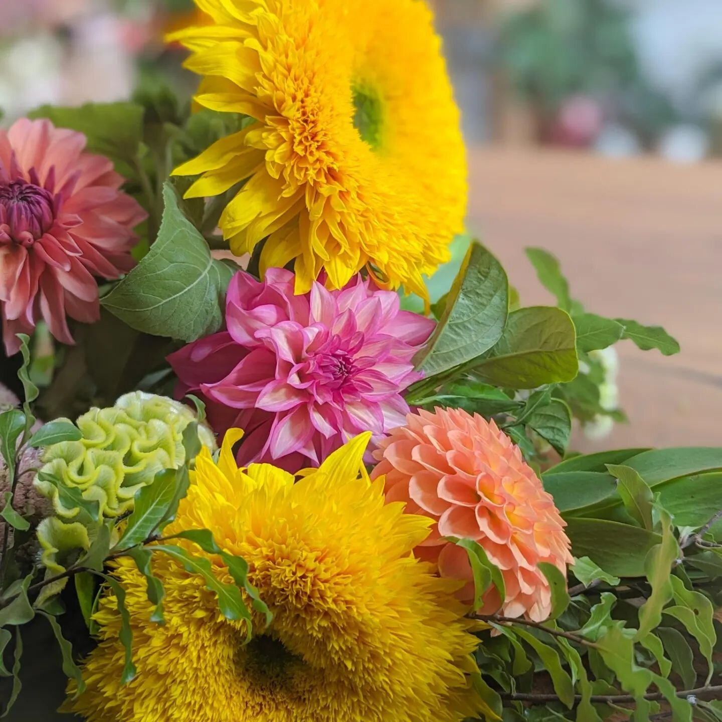 Some recent 'Teddy Bear' sunflower appreciation 🌻🧸💛

#petalpop #petalpopflowers #flowers #sunflowers #teddybearsunflower #bouquet #fluffy