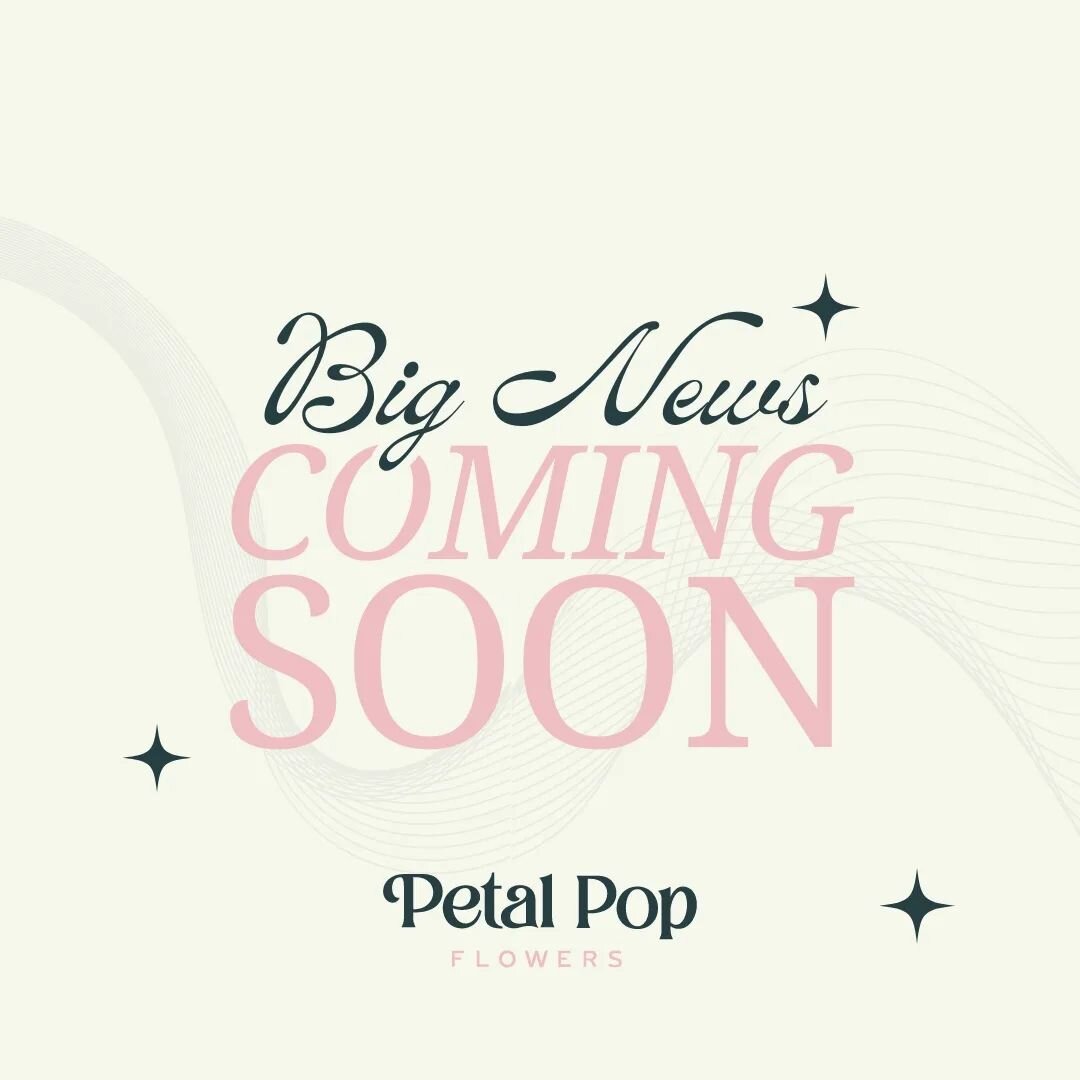 Seriously bursting. Can't wait to share, flower pals! 🤫🤫🤫 

#petalpop #petalpopflowers #bignews #smallbusiness #florist #flowers #flowerpower