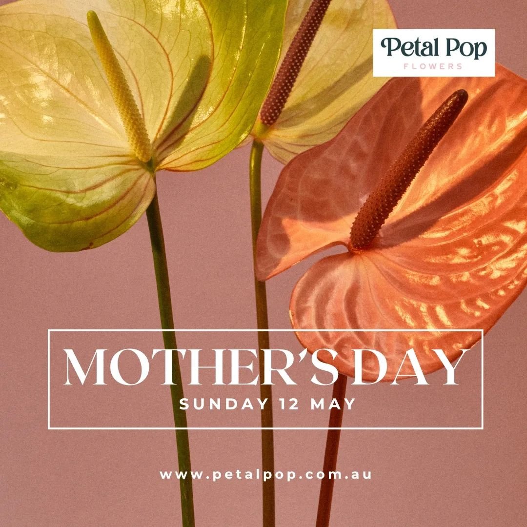 Mum's the word....
Less than 2 weeks to go! 
Our Mother's Day range is now up and ready for your pre-orders. We recommend getting in early to avoid any disappointment! 💗 www.petalpop.com.au

#petalpop #petalpopflowers #mothersday #thepetalpopway #fl