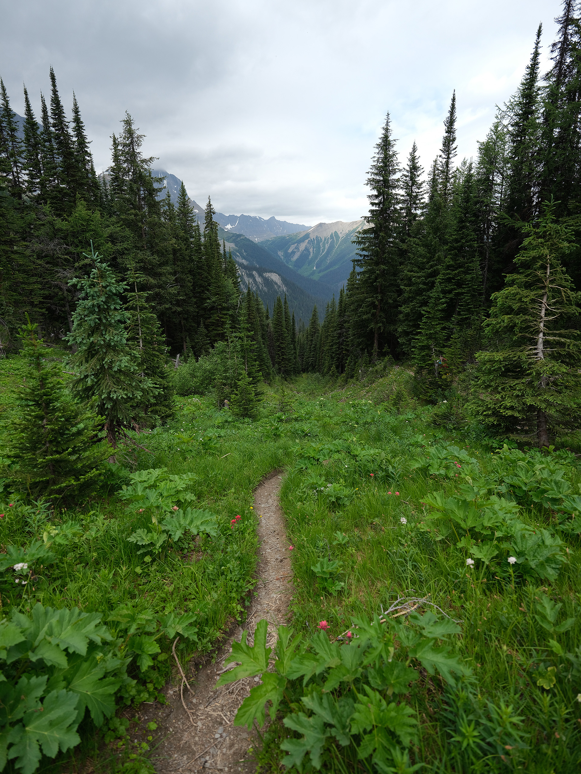 DSCF8552.jpg