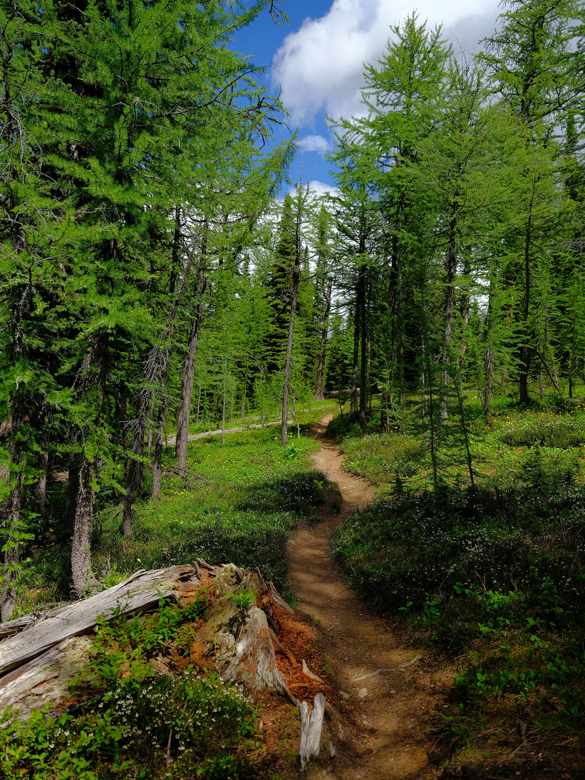 DSCF8585.jpg
