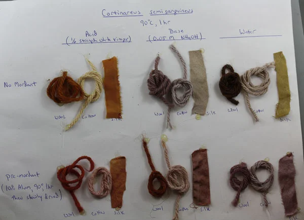 2013 dyes.jpg
