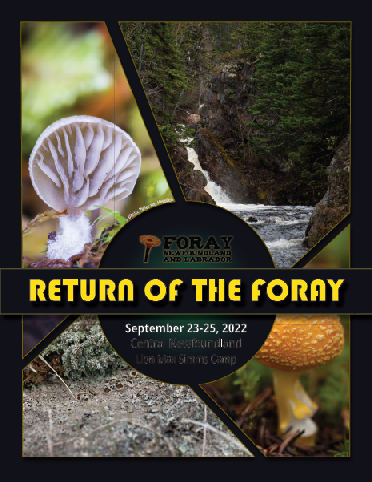 Foray 2022 - Return of the Foray