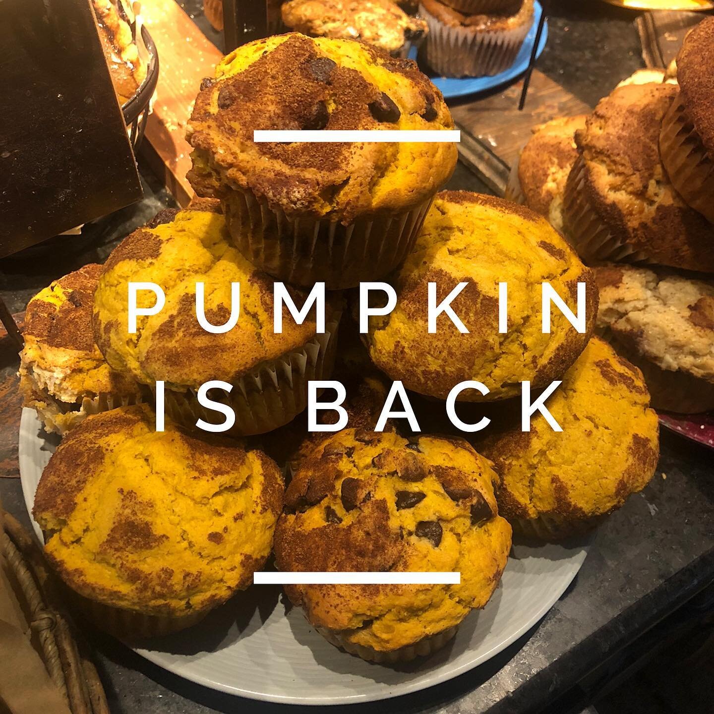 PUMPKIN IS BACK!  Come on by for a pumpkin chocolate chip muffin and a pumpkin spice latte! 🎃