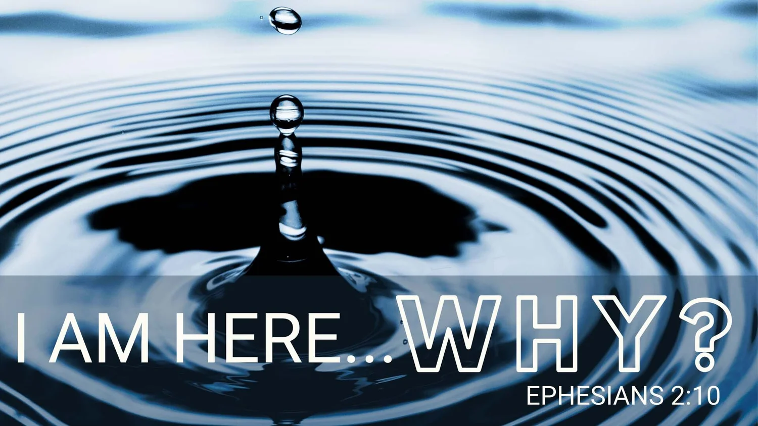 I am here, why? episode artwork