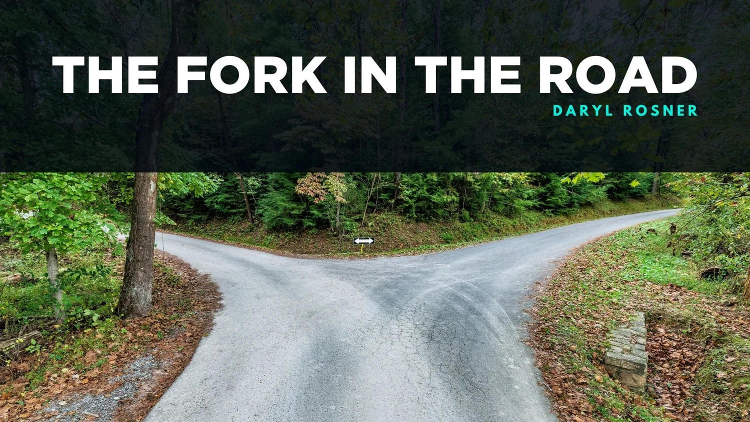 The Fork In The Road episode artwork