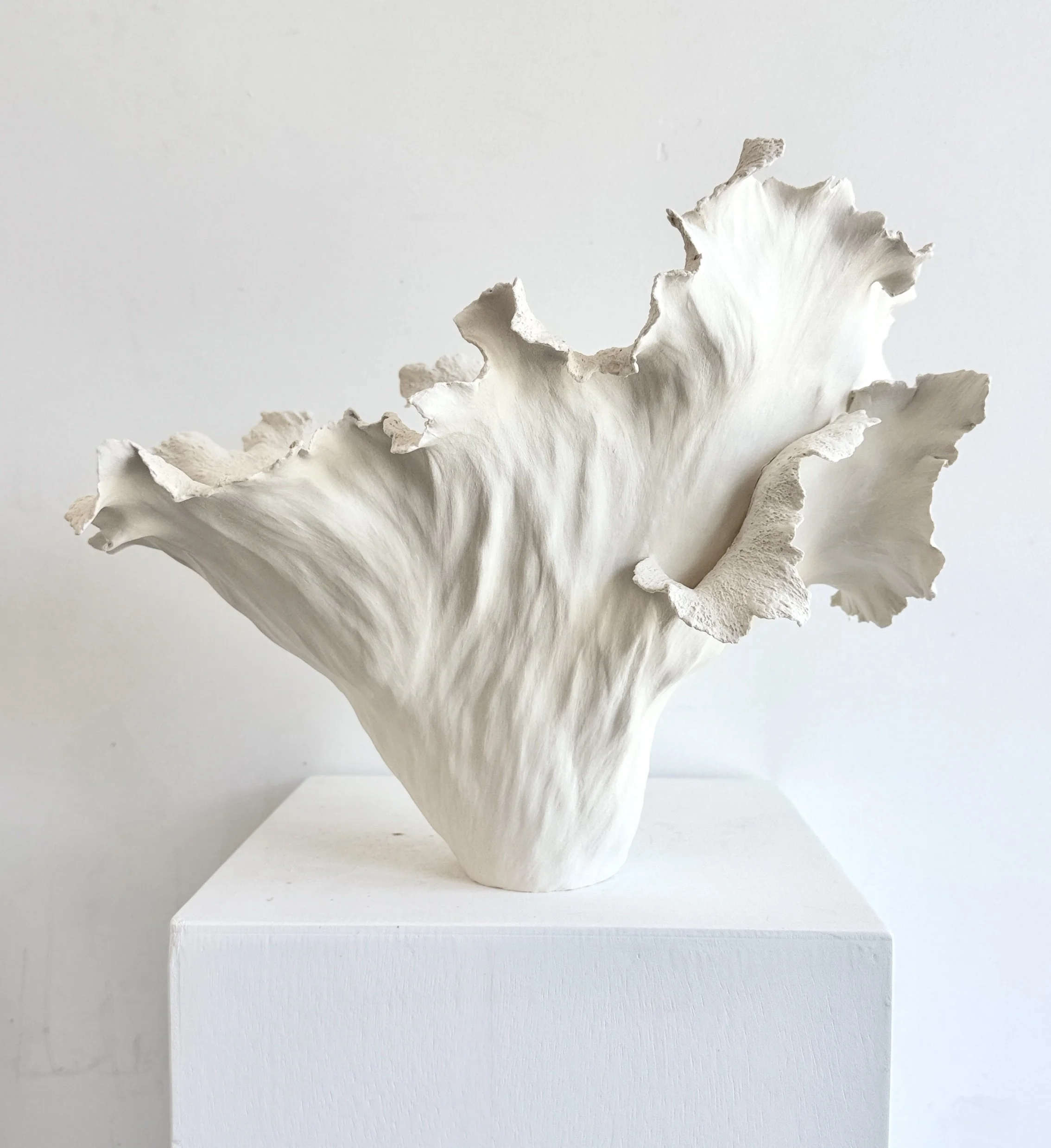 IMG_0648.JPG