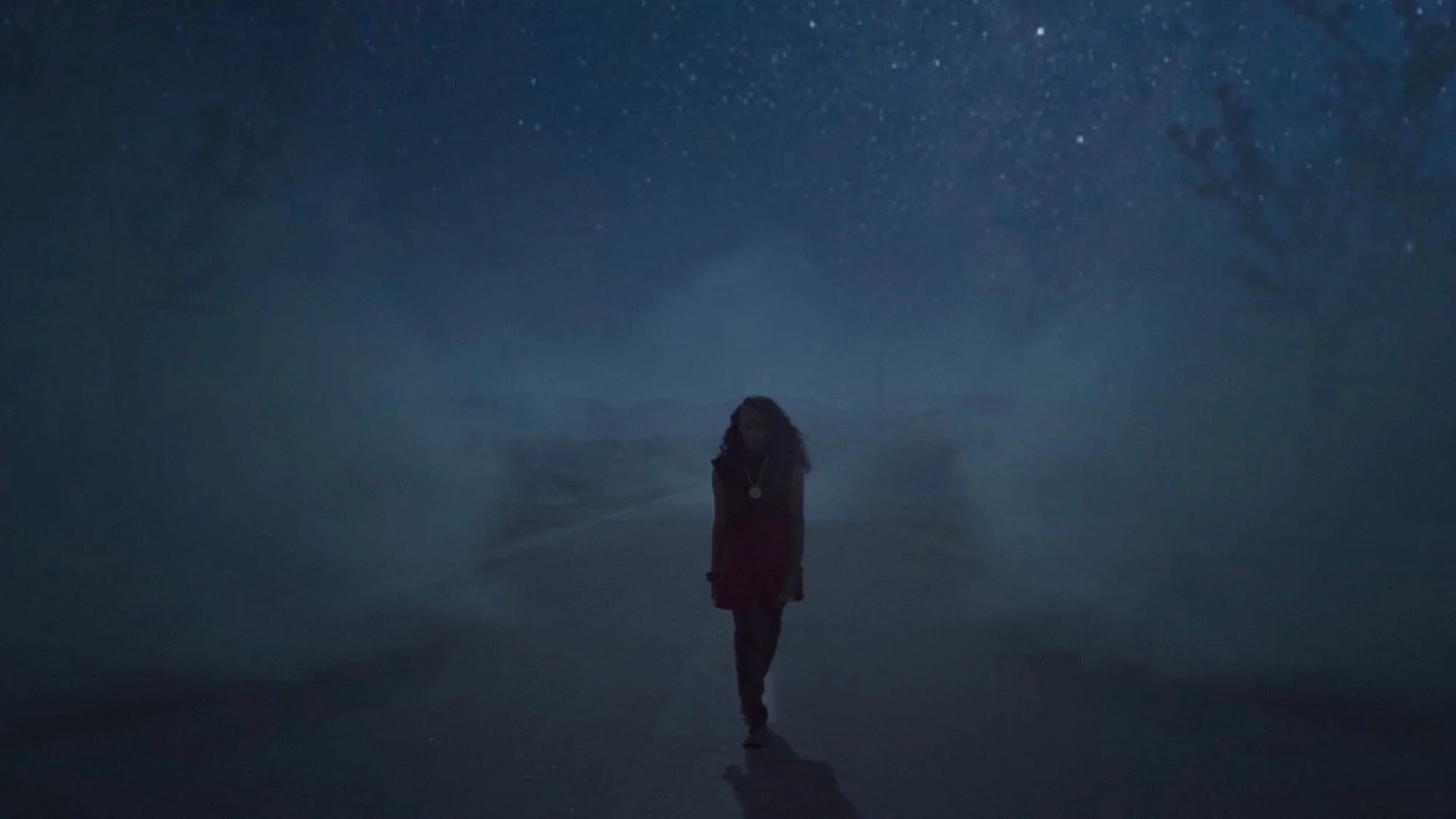 Frank Borin Director Montage 2020