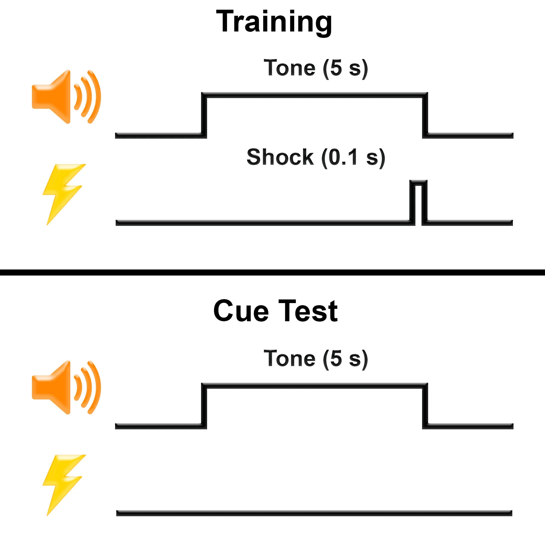 ShockBehaviorDiagram_DB.jpg