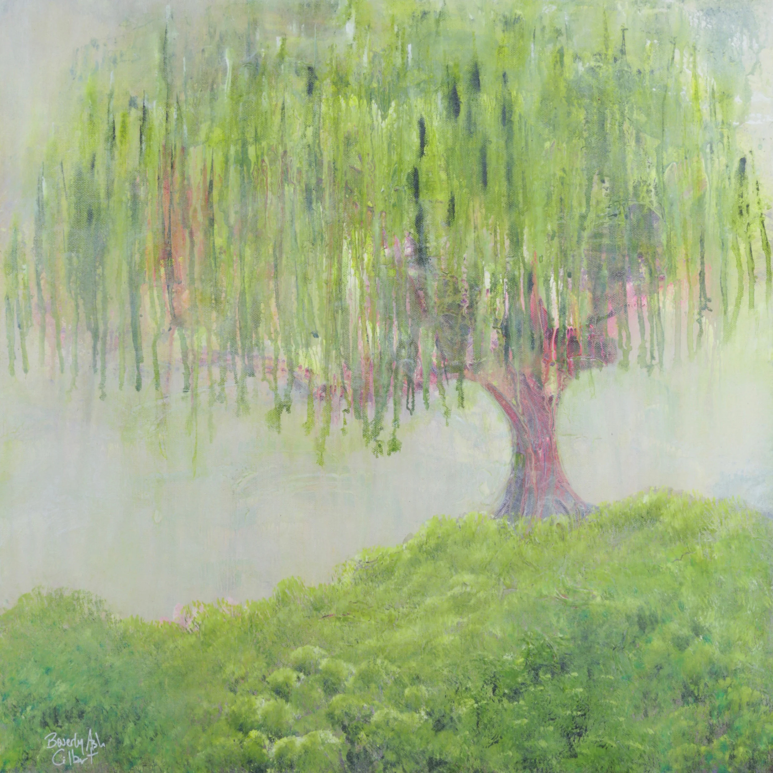 Willow In The Fog