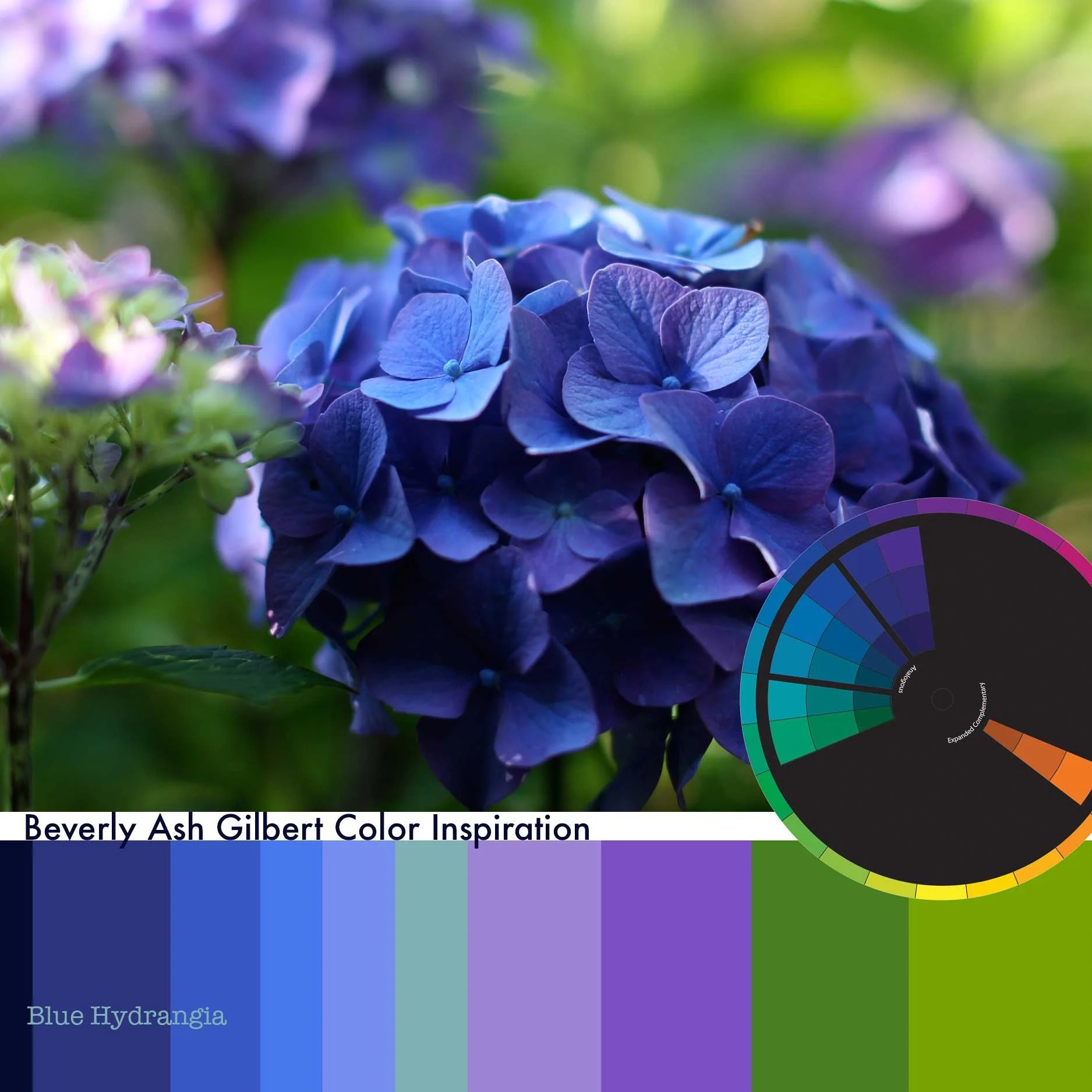 Colorful Inspiration – Deep Blue Hydrangea