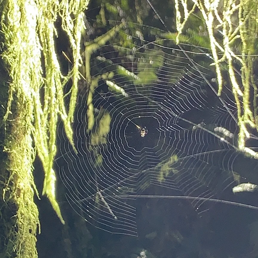 To Fix A Problem, Look At It With Fresh Eyes