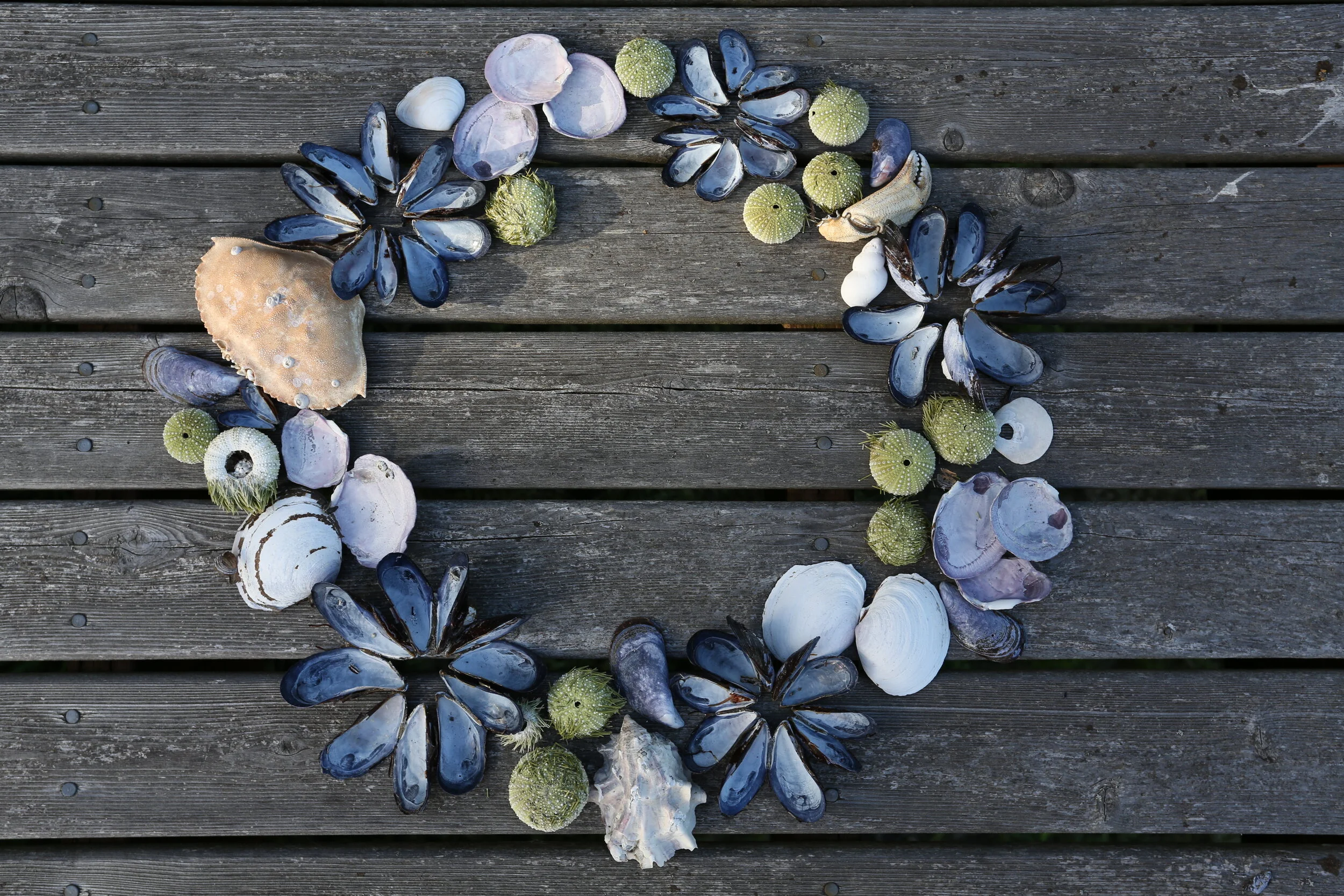 The Beauty and Joy of Ephemeral Art