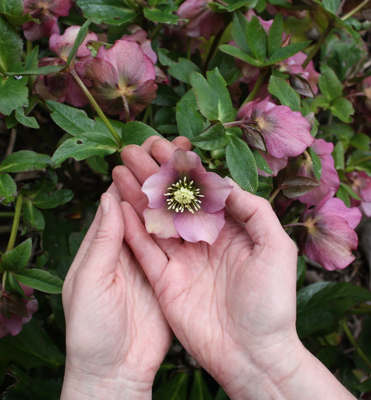 Please take COVID seriously