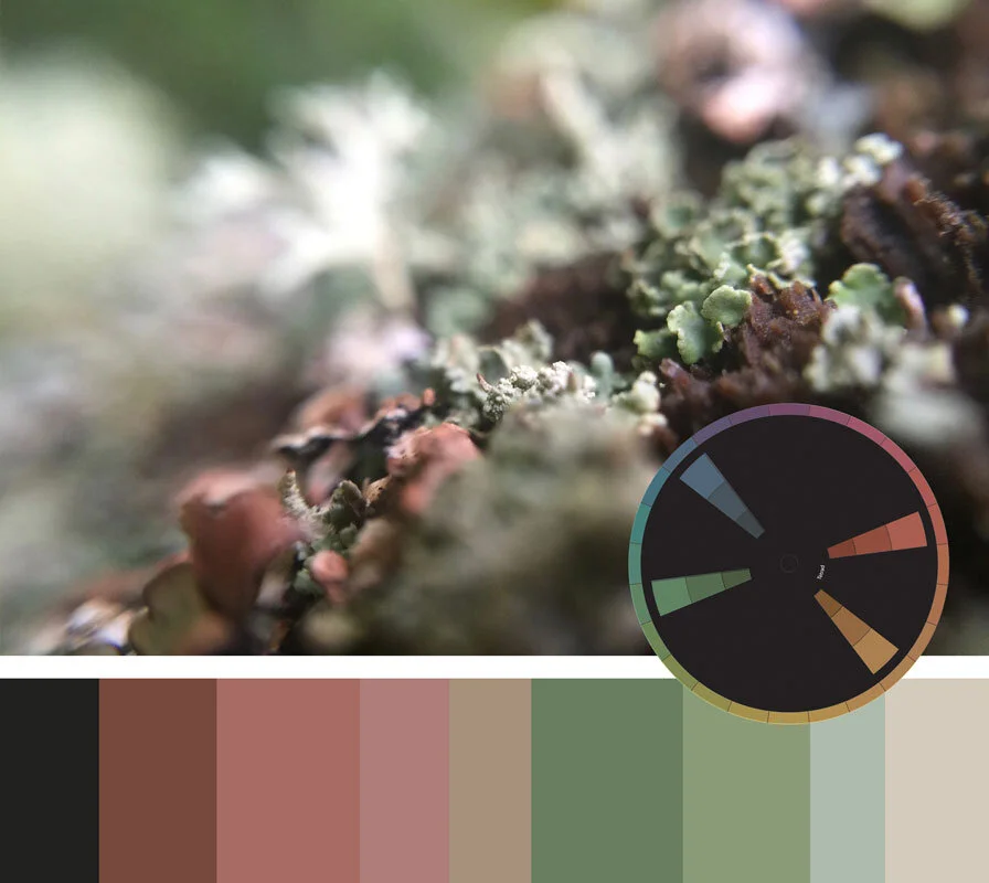 ColorInspiration_Lichen_rgb_opt.jpg