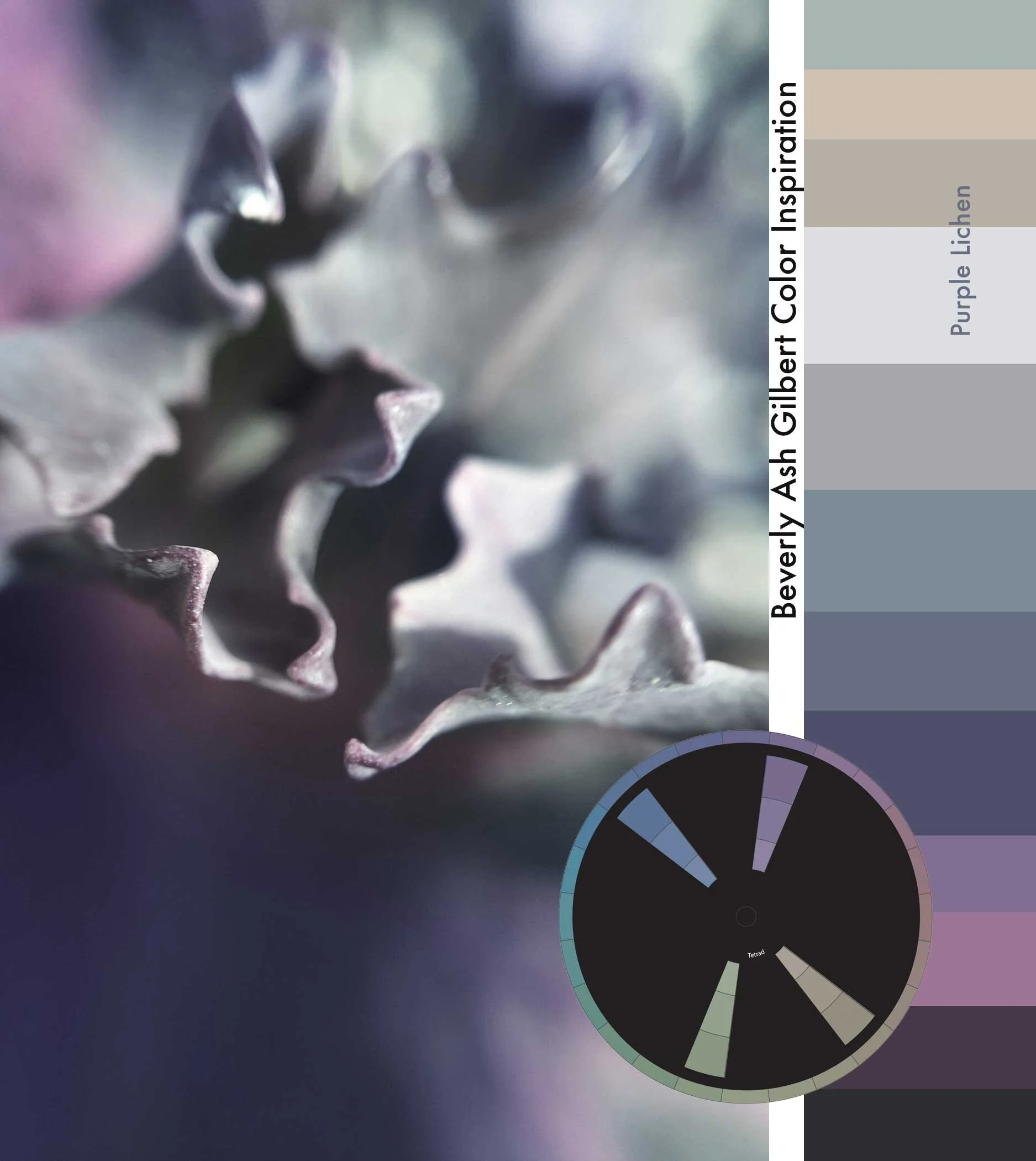 ColorInspiration_PurpleLichen_small.jpg