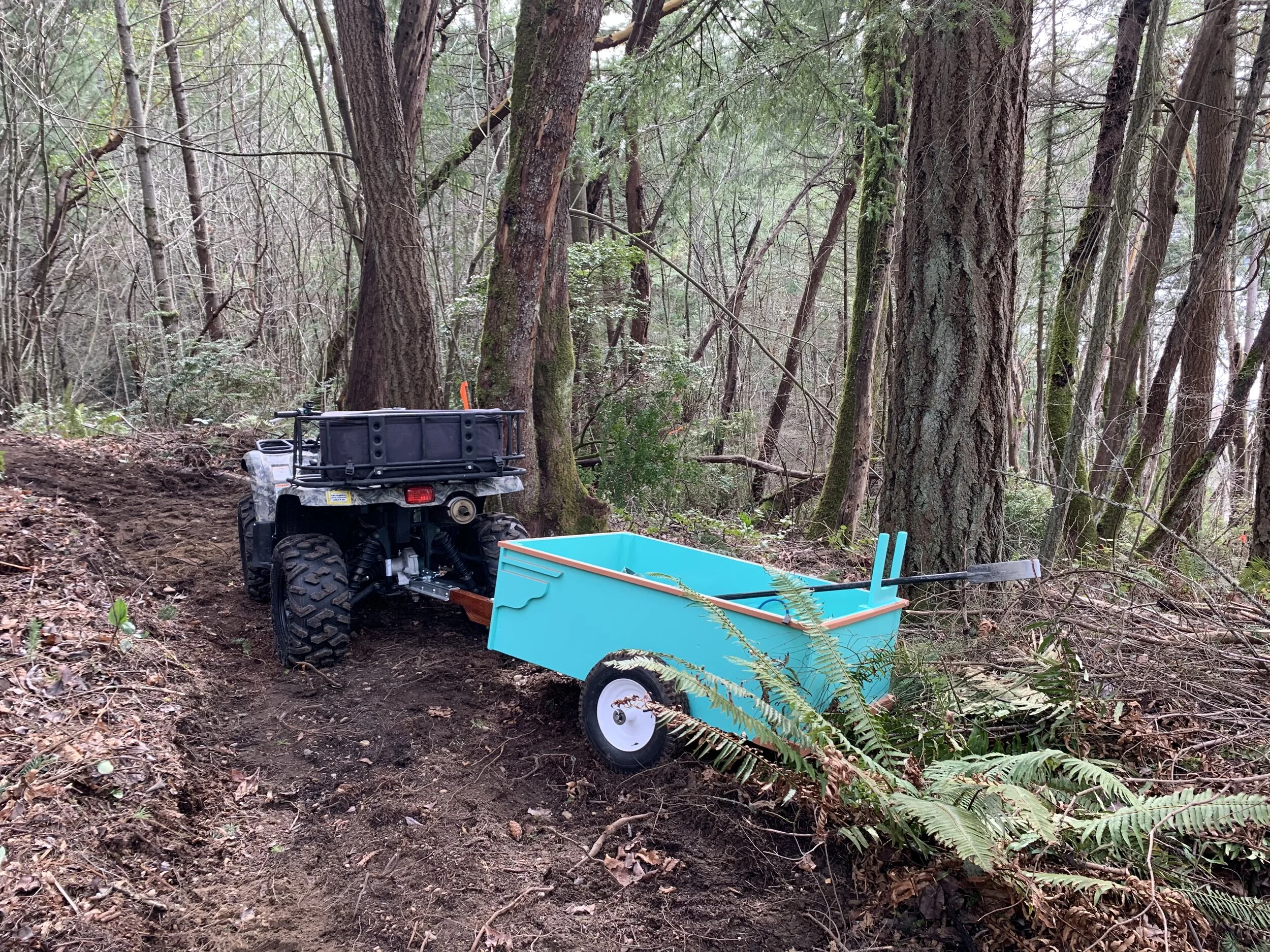 Working in the Forest