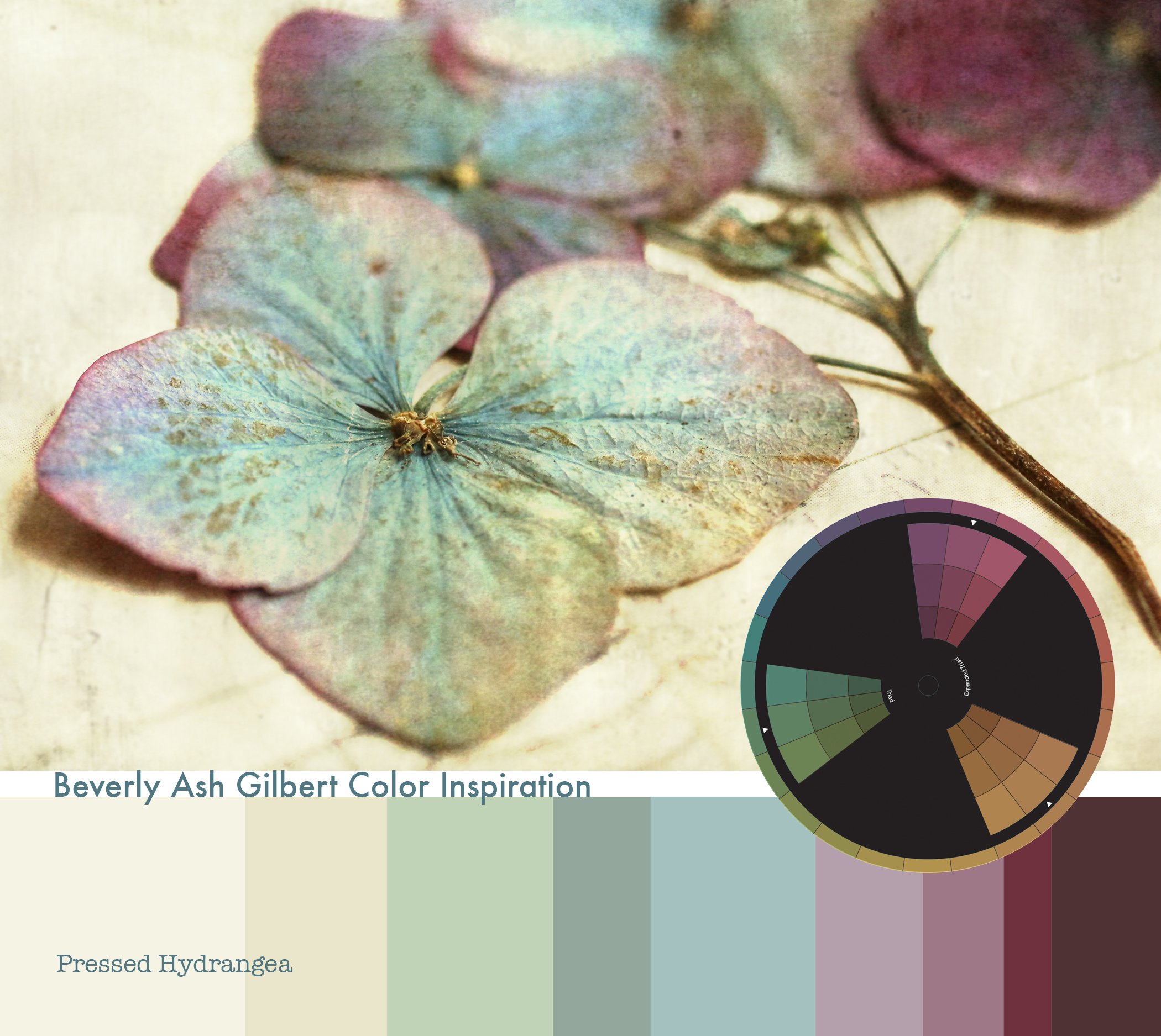 Color Inspiration - Pressed Hydrangea .jpg