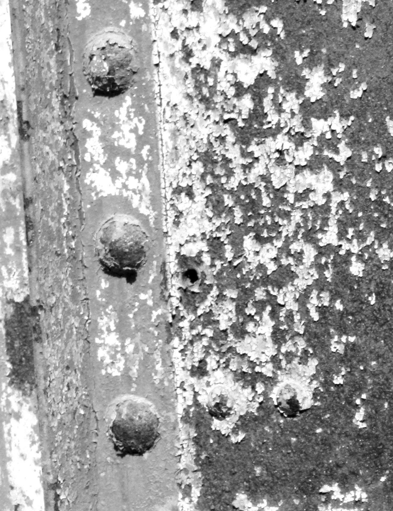 Rusty Door 3 texture.jpg