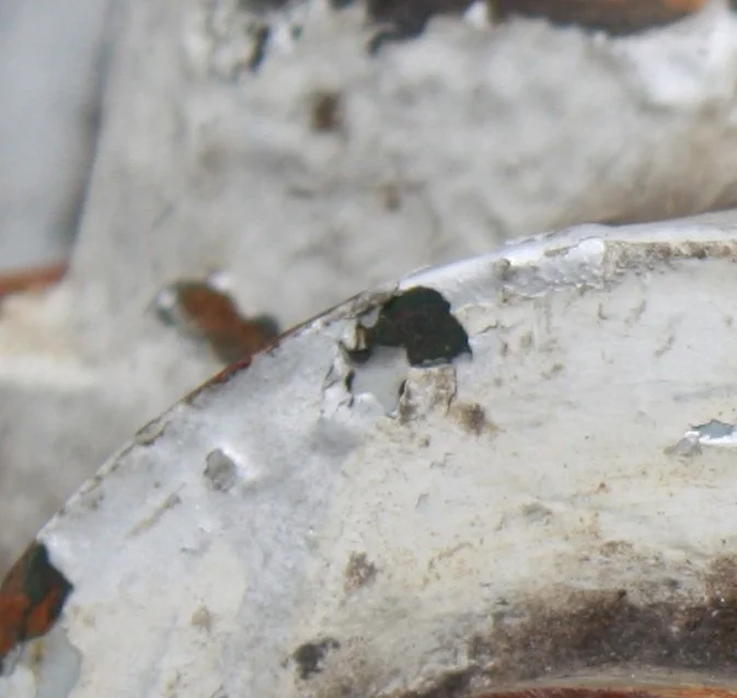 texture gear rust white blue crop white.jpg