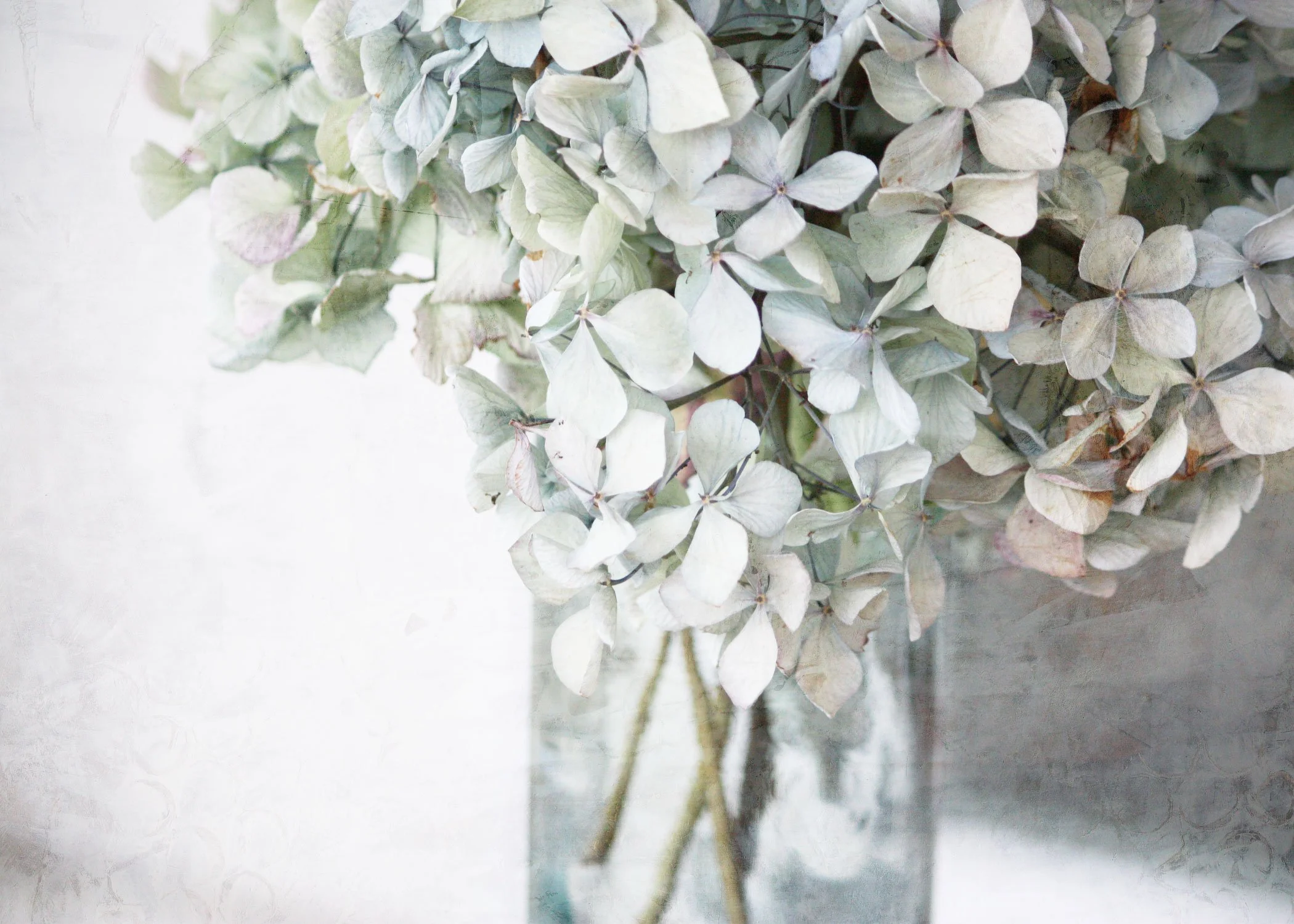 7_HydrangeaGreenBlueTallGlass_opt_rgb.jpg