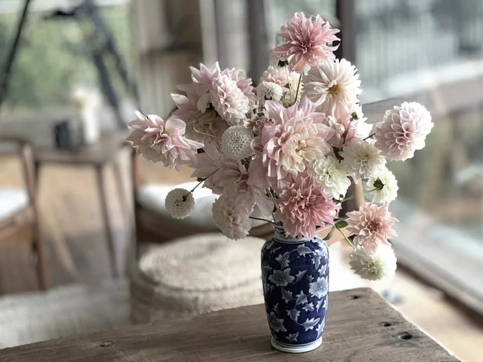 pastelDahlia -desat.jpg