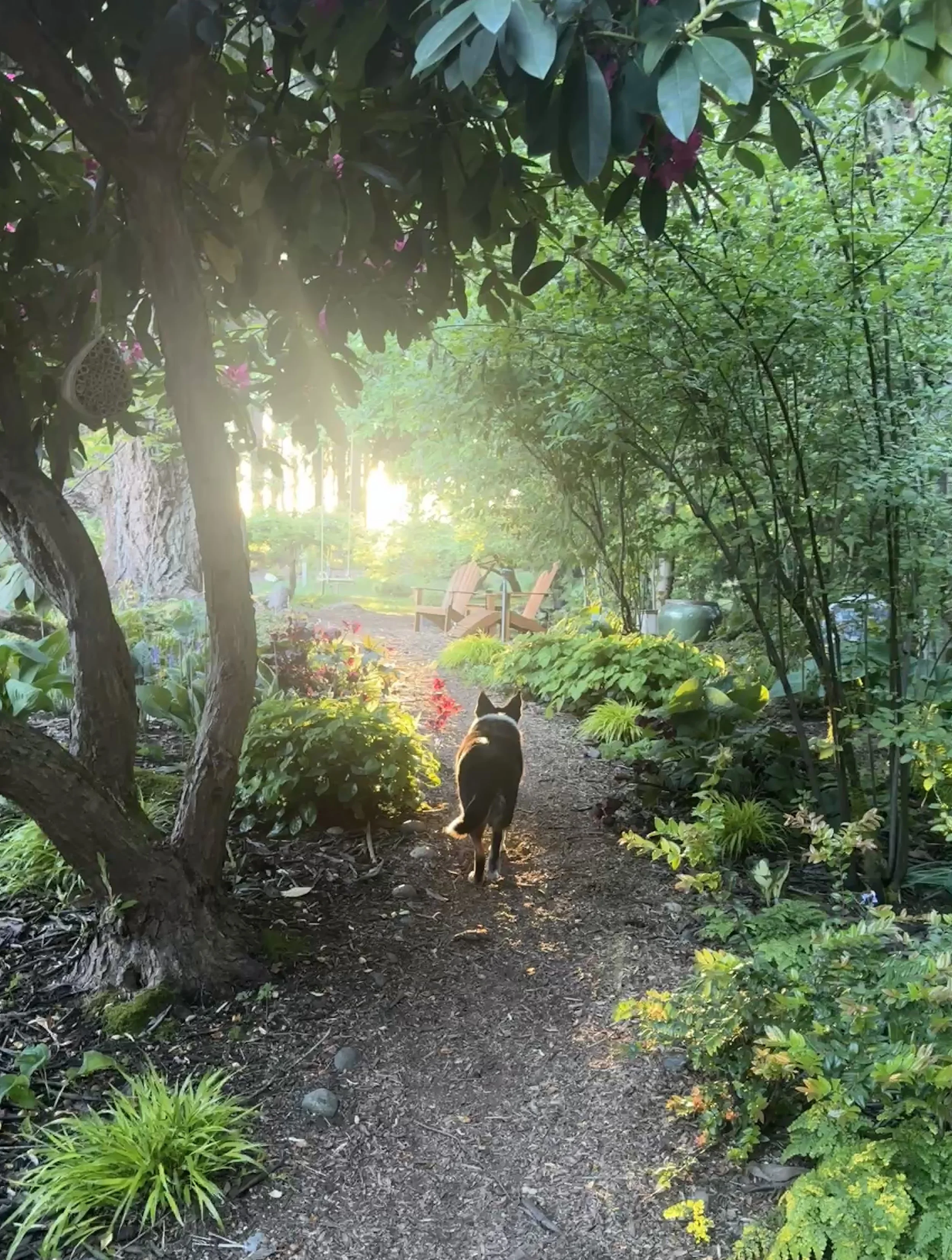 Glowing light on a garden path
