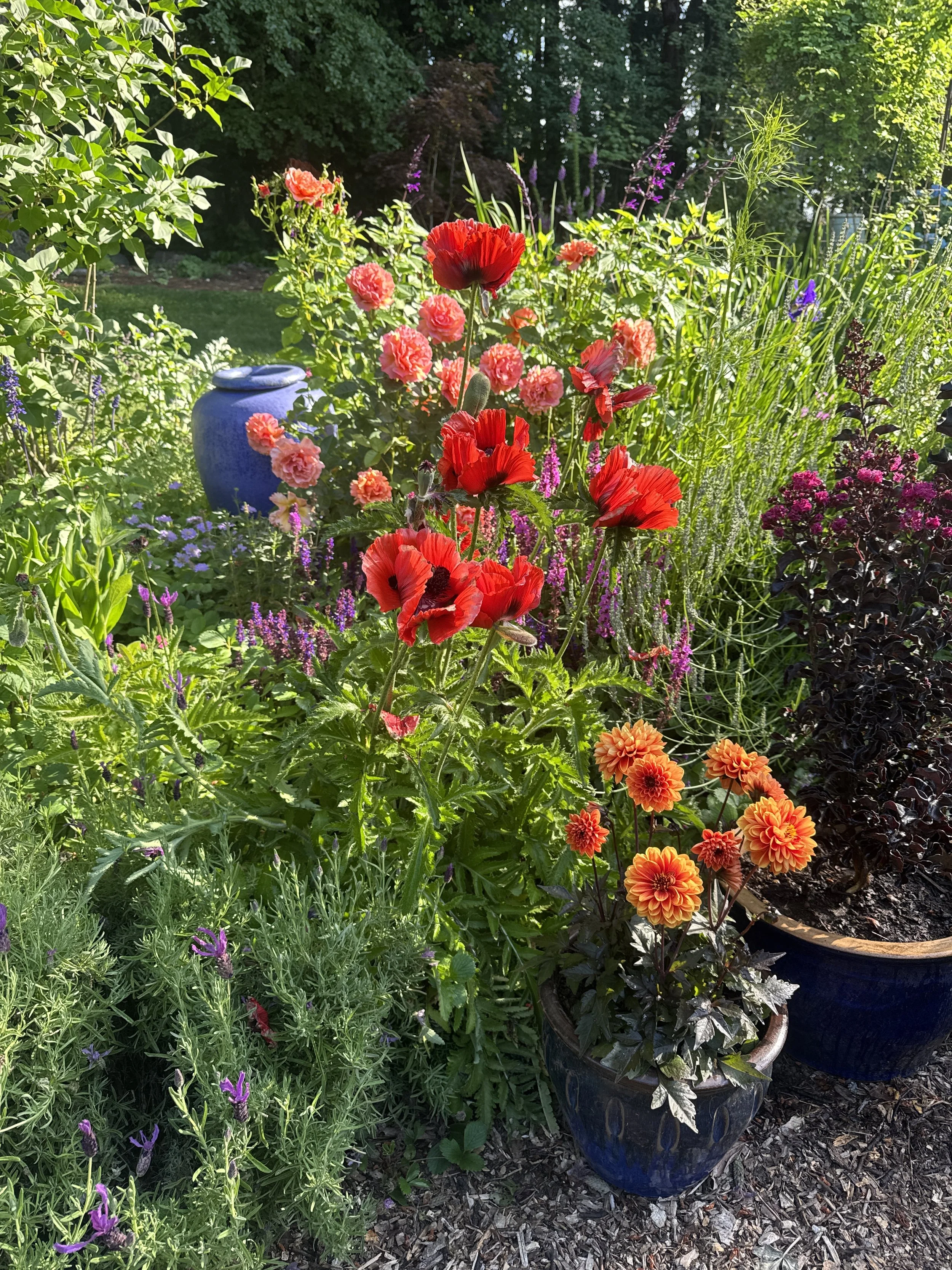 Vibrant Cottage Garden