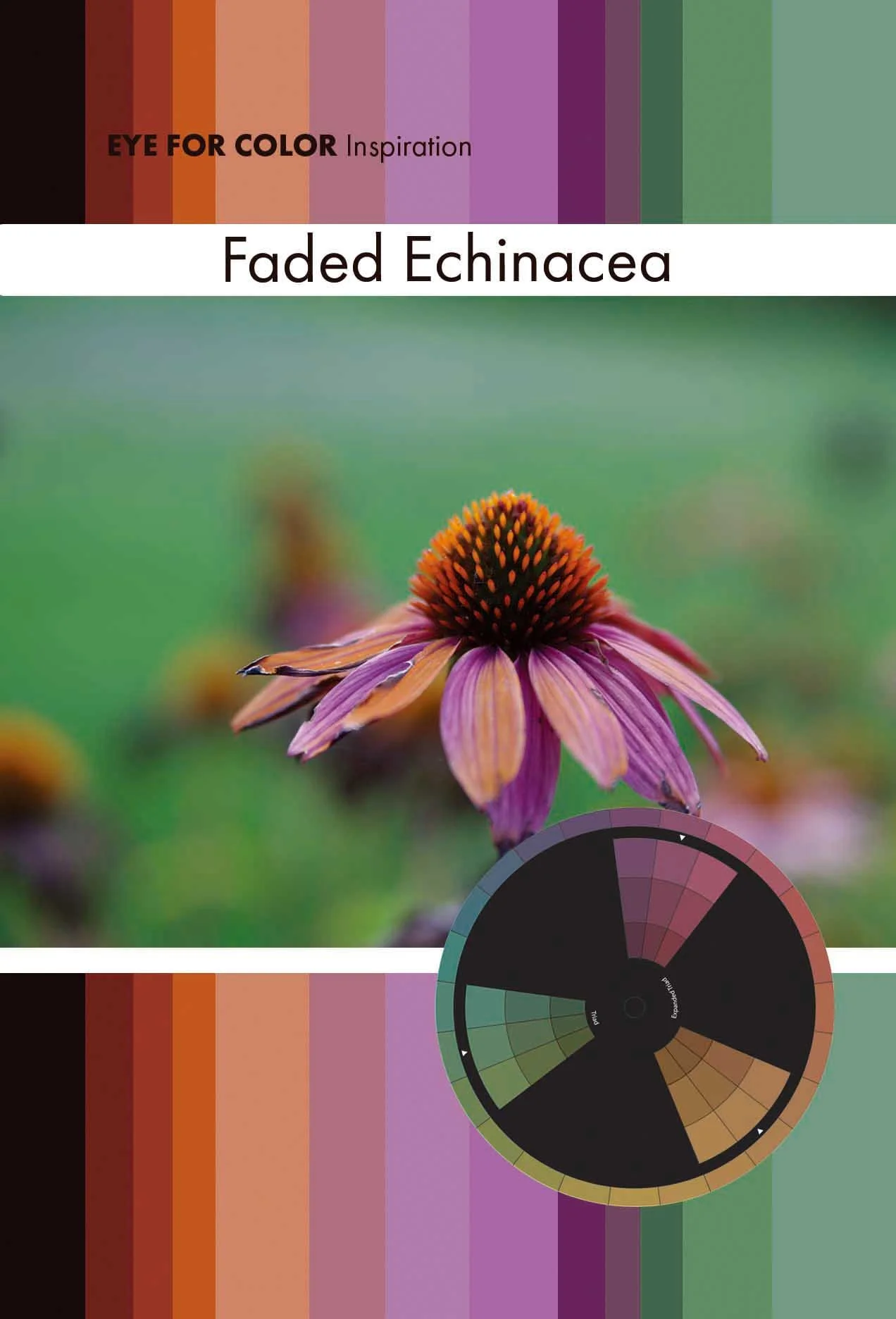 23a-EFC-Inspiration-Card-Front-Faded-Echinacea-rgb.jpg