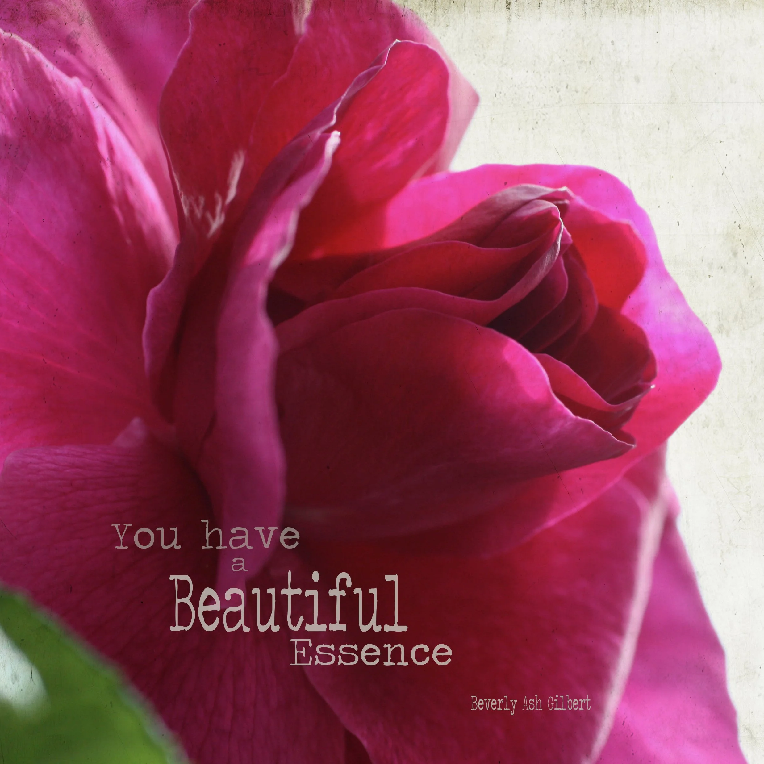 Square BeautifulEssence.jpg