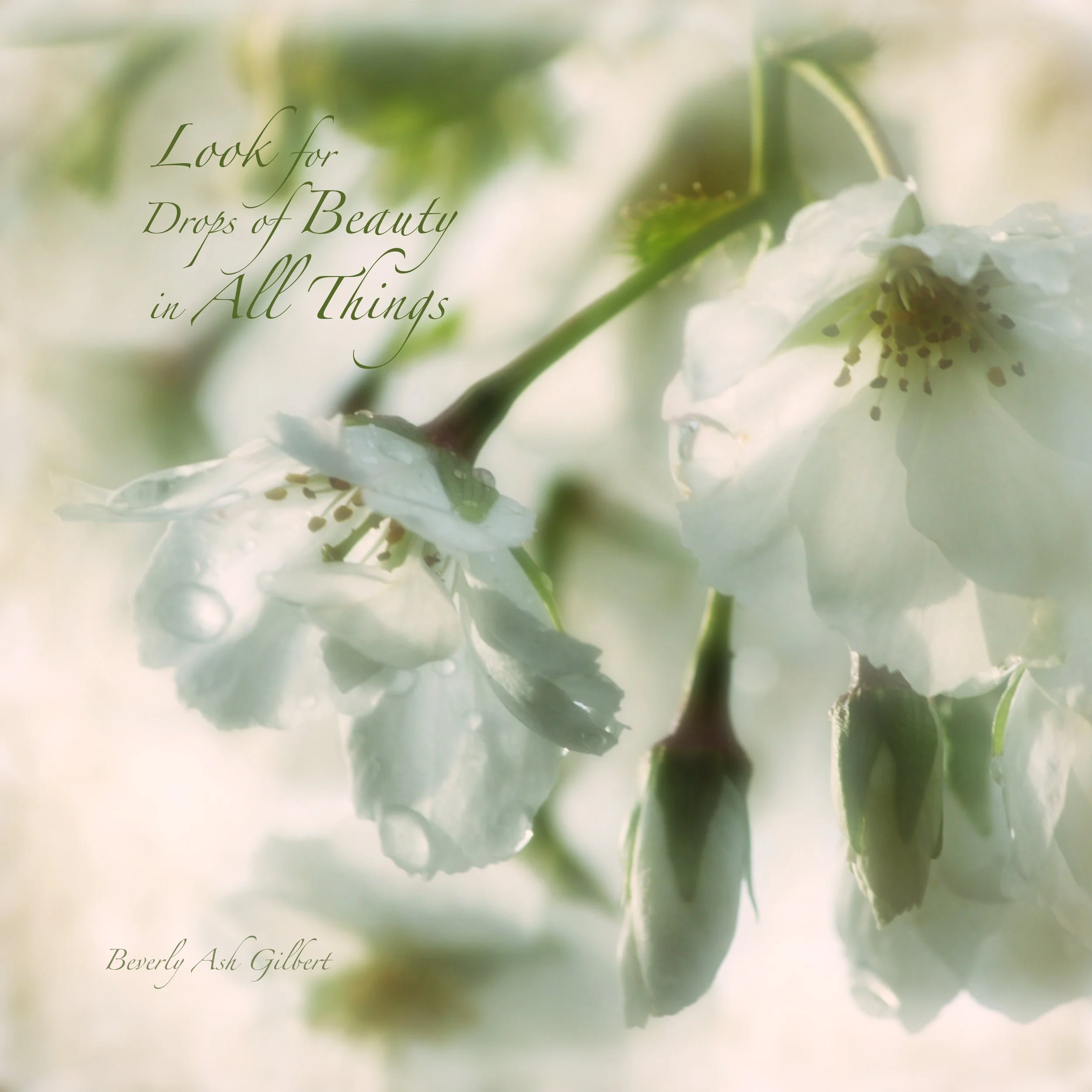 Art and Words - Drops Of Beauty print