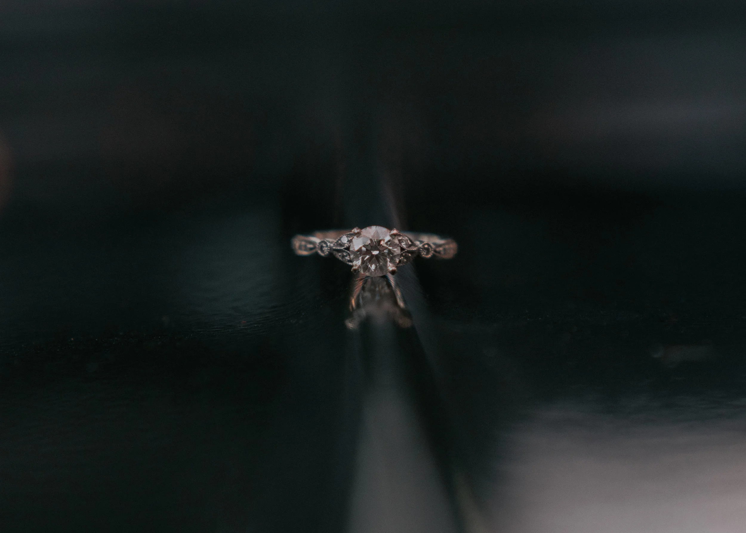  Florida Engagement Photographer, Florida Engagement Photos, Florida Engagement Photography, Tampa Engagement Photographer, Tampa Engagement Photos, Tampa Engagement Session, Tampa Couples Photos, Engagement Photography, Engagement Photo Ideas, Engag