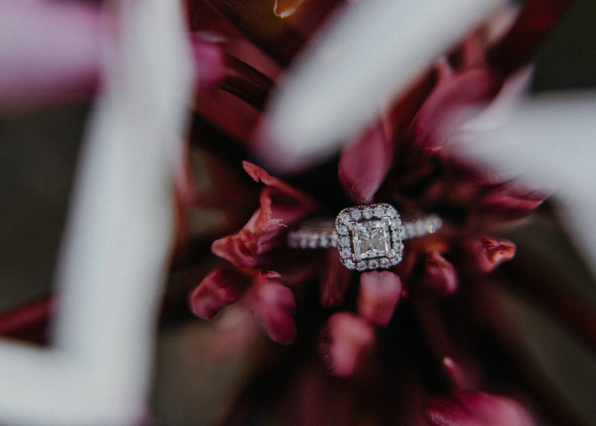 Urban Winter Engagement Session in Downtown Lakeland, Florida -46.jpg